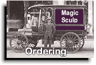Ordering your Magic Sculp